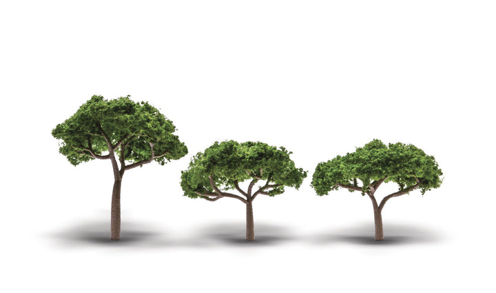 Woodland Scenics TR3555 Canopy Trees, three green broad-canopy model trees.